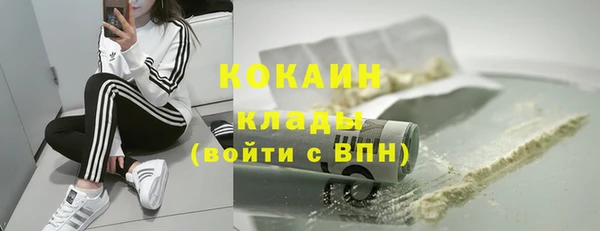 кокс Арсеньев