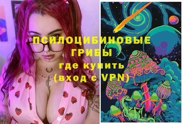 кокс Арсеньев