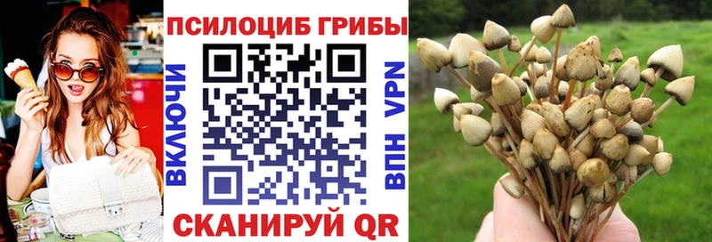 Псилоцибиновые грибы MAGIC MUSHROOMS  Острогожск 